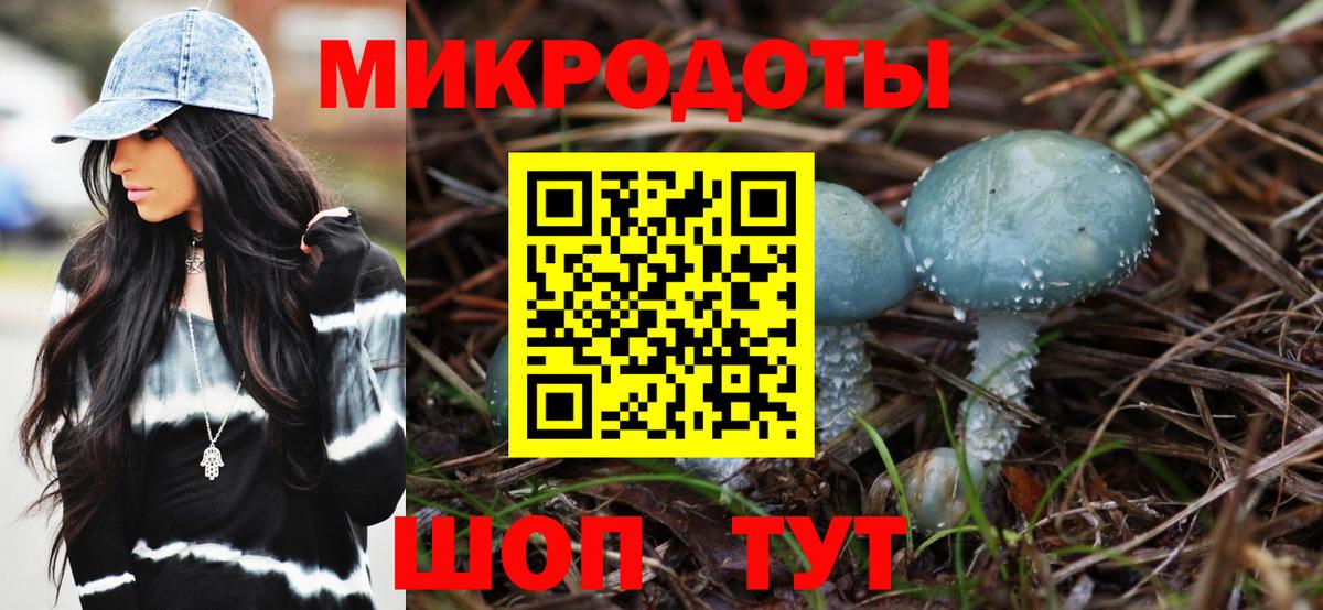 Кудрово  Псилоцибиновые грибы MAGIC MUSHROOMS  Вход с VPN  где найти наркотики  Псилоцибиновые грибы Psilocybine cubensis 